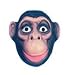 Toys : Chimp Face Mask