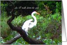 Invitation,Wedding,Bridesmaid,Great White Heron Spreads Wings Card