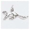 Ferret Charm