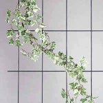 Spalier 60300 mit 3 Streben 150x45 cm braun