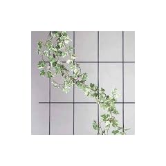 Spalier 50500 mit 5 Streben 150x75 cm gr�n