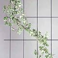 Spalier 60500 mit 5 Streben 150x75 cm braun