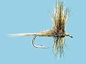Turrall Large Terrestrial Daves Hopper