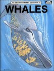 Whales: An Educational Coloring Book