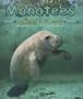 Manatees (Ocean Life)