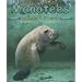 Manatees (Ocean Life)