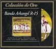Coleccion 10 de Oro
