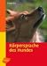 Image of Körpersprache des Hundes. Ausdrucksverhalten erkennen und verstehen (Heimtiere)