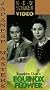 Equinox Flower [VHS]