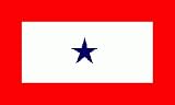 Freeshipping - 3x5ft Polyester Blue Star Service Flag #F1322