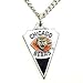 Chicago Bears Chain Necklace & Pewter Pendant - NFL Football Fan Shop Sports Team Merchandise