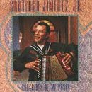 Music : Canciones de Mi Padre [CASSETTE]