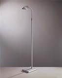 Wah-Hoo Matte Brushed Nickel Floor Lamp