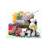 Baby Einstein Farm Animals in Mini Radio Flyer Wagon Gift Basket - Unique Baby Shower Gift Idea