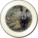 RHINO'S Tax Disc Holder