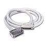 Cables To Go - 03564 - 6ft SCSI-2 MD50 M/M Cable