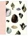 Book Seashell Journal