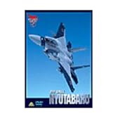 AIR BASE NYUTABARU 航空自衛隊新田原基地 [DVD]