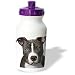 Dogs Pitbull - American Pit Bull Terrier Puppy - Water Bottles