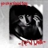 Revue Nels Cline & Thurston Moore  / Pillow Wand
