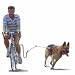 Pet Supplies : Springer Bicycle Jogger