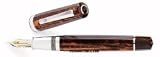 Omas Arte Italiana Arco Celluloid Paragon Hi Tech Platinum Finish Fountain Pen
