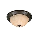 Golden Lighting Multi-Family 2 Light 11" Flush Mount