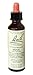 Bach Flower Remedies Pine -- 20 mL
