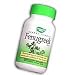 Fenugreek Seed