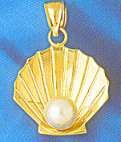 14K Gold Shell w/Pearl Charm