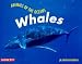 Whales (Animals of the Oceans)