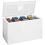 FRIGIDAIRE 20 Cu. Ft. Chest Freezer - Manual Defrost - GLFC2027FW