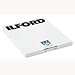 Ilford FP4 Plus - Black & white print film - 8 x 10