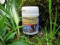 Proden PlaqueOff - A Natural Supplement to Reduce Plaque in Cats and Dogs 60g