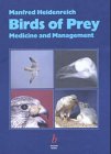 Birds of Prey