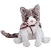 TY Beanie Baby - FRISKY the Cat (BBOM September 2005)