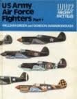 US Army Air Force fighters