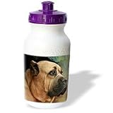Dogs Cane Corso - Cane Corso - Water Bottles