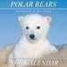 Polar Bears 2009 Calendar