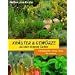 Heilkr�uter, Pflanzen & Garten