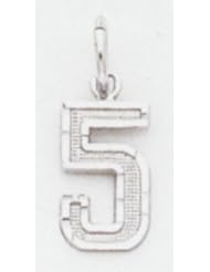 Small #5 Charm - WSN05
