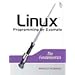 Linux Programming by Example: The Fundamentals (Prentice Hall Open Source Software Development Series)