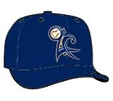 Minor League Baseball Cap - Swing of the Quad City Alt 1 Cap by New Era