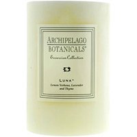 Archipelago Botanicals 4 x 6 Pillar Candle: Luna