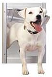 Large Classic Pet Door