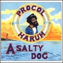 A Salty Dog