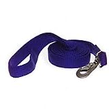 Aspen Pet 1 Two-Ply Nylon Dog Leash