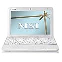 MSI Wind U100-279US 10-Inch Netbook (1.6 GHz Intel Atom Processor, 1 GB RAM, 160 GB Hard Drive, XP Home, 6 Cell Battery) White