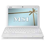 MSI Wind U100-279US 10-Inch Netbook (1.6 GHz Intel Atom Processor, 1 GB RAM, 160 GB Hard Drive, XP Home, 6 Cell Battery) White