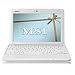 MSI Wind U100-279US 10-Inch Netbook (1.6 GHz Intel Atom Processor, 1 GB RAM, 160 GB Hard Drive, XP Home, 6 Cell Battery) White